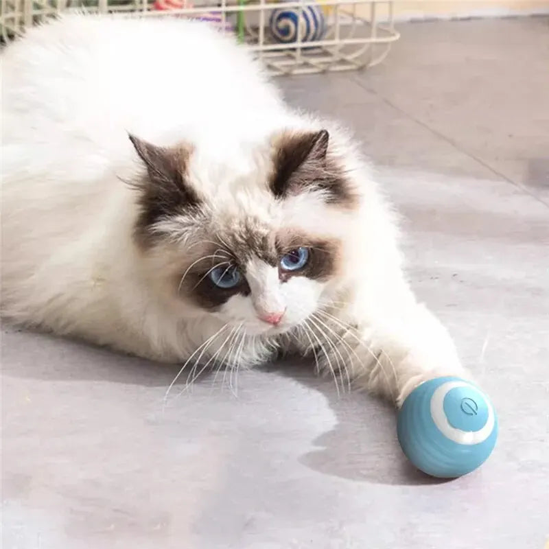 Self-Moving Cat Magic Ball