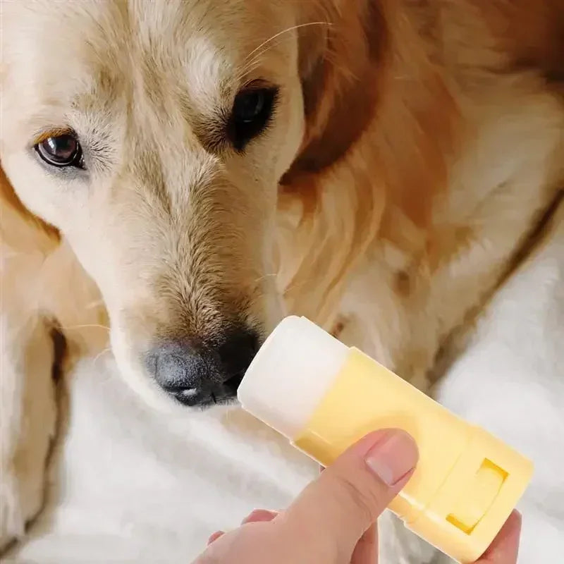 Paw Balm for Happy Paws