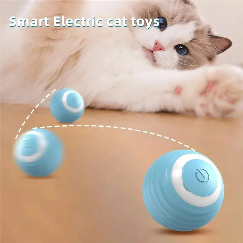 Self-Moving Cat Magic Ball